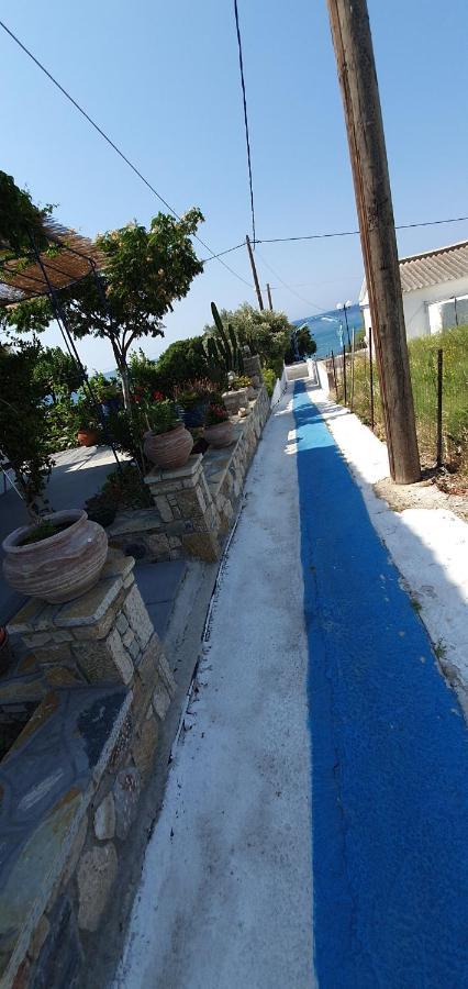 Jenny Apartments Karlovassi Ngoại thất bức ảnh